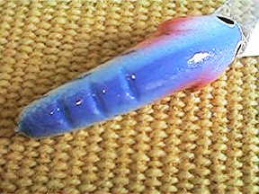 Three v' shaped furrows in the SPIDERS back, contrast the lures back allowing light to reflect . The result is more fish see your lure. The lifelike flared gills also give extra contrast to the sides making it just that much easier for the fish. 